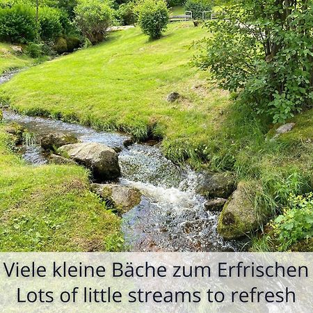 Auszeit Apartment Black Forest Schonach im Schwarzwald Dış mekan fotoğraf