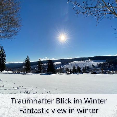 Auszeit Apartment Black Forest Schonach im Schwarzwald Dış mekan fotoğraf