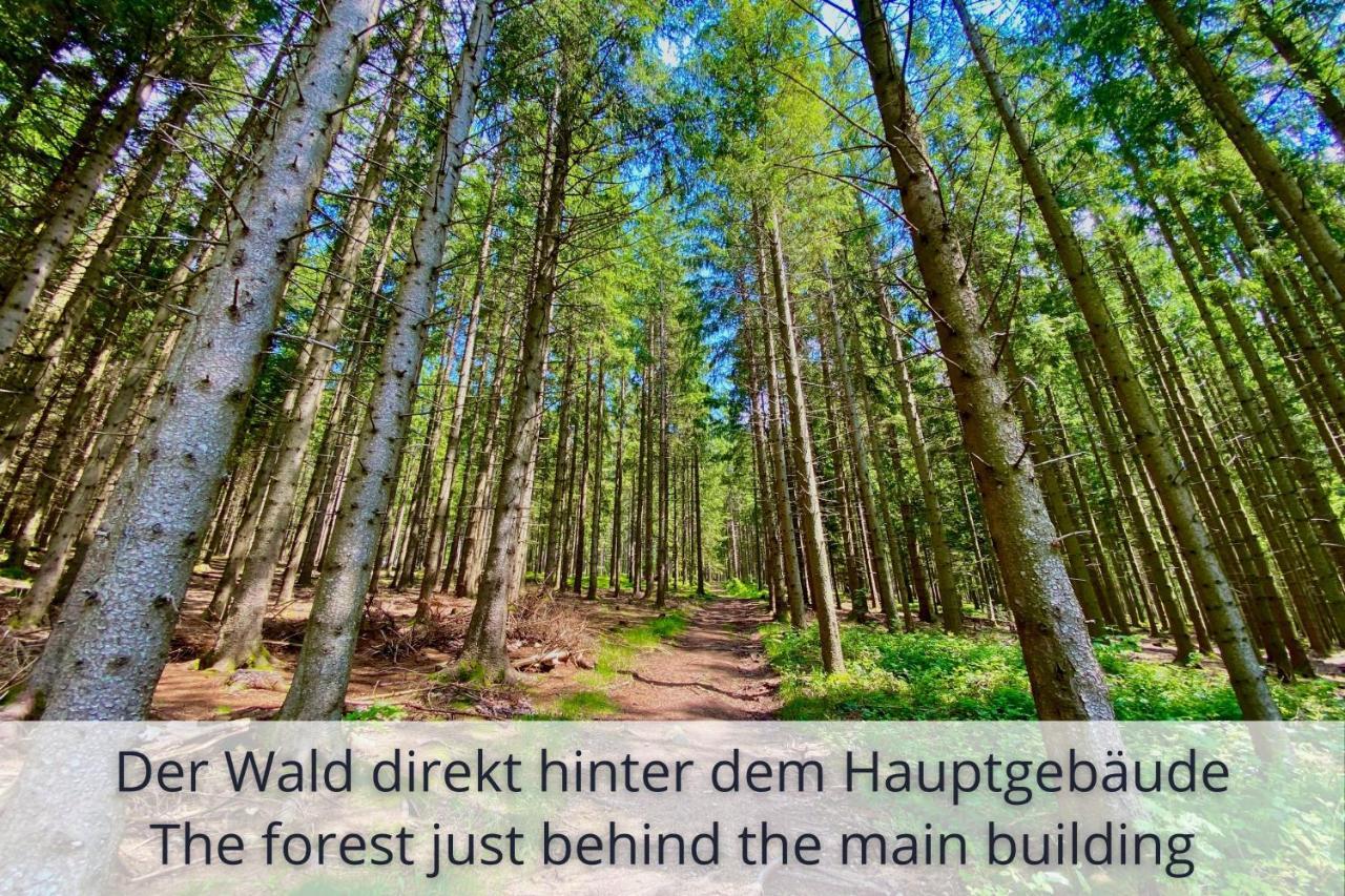 Auszeit Apartment Black Forest Schonach im Schwarzwald Dış mekan fotoğraf