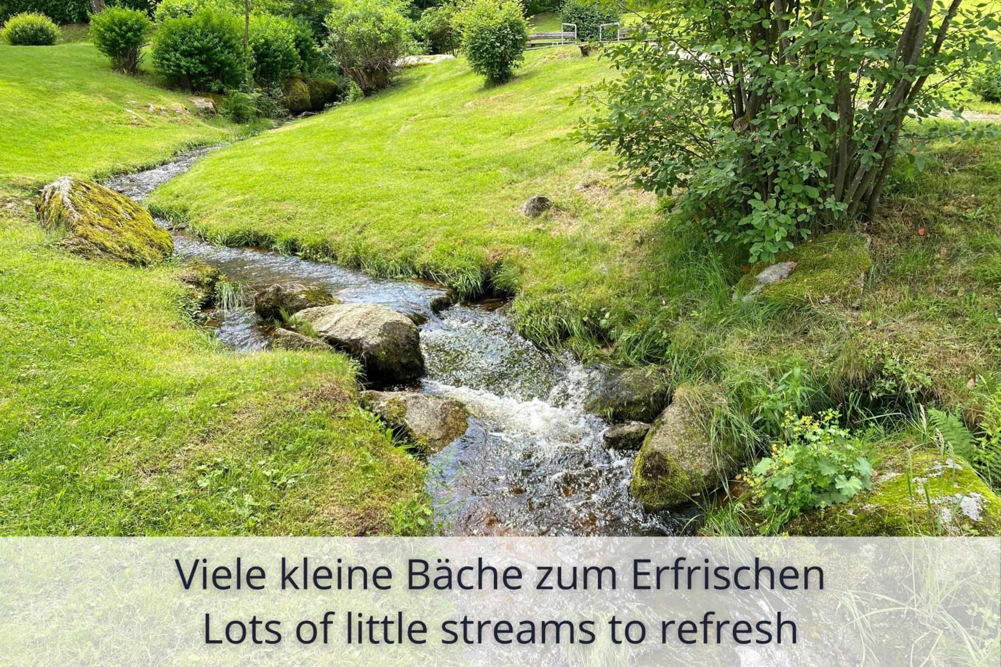 Auszeit Apartment Black Forest Schonach im Schwarzwald Dış mekan fotoğraf