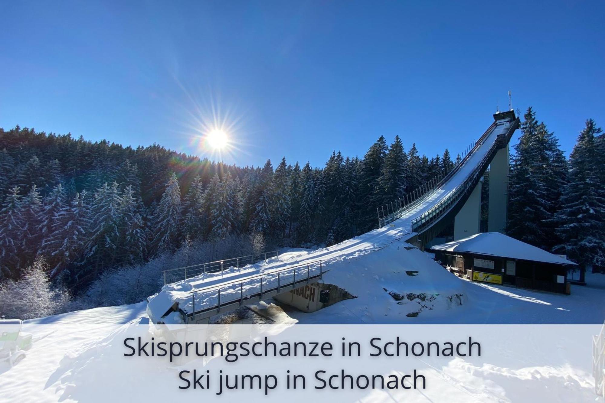 Auszeit Apartment Black Forest Schonach im Schwarzwald Dış mekan fotoğraf