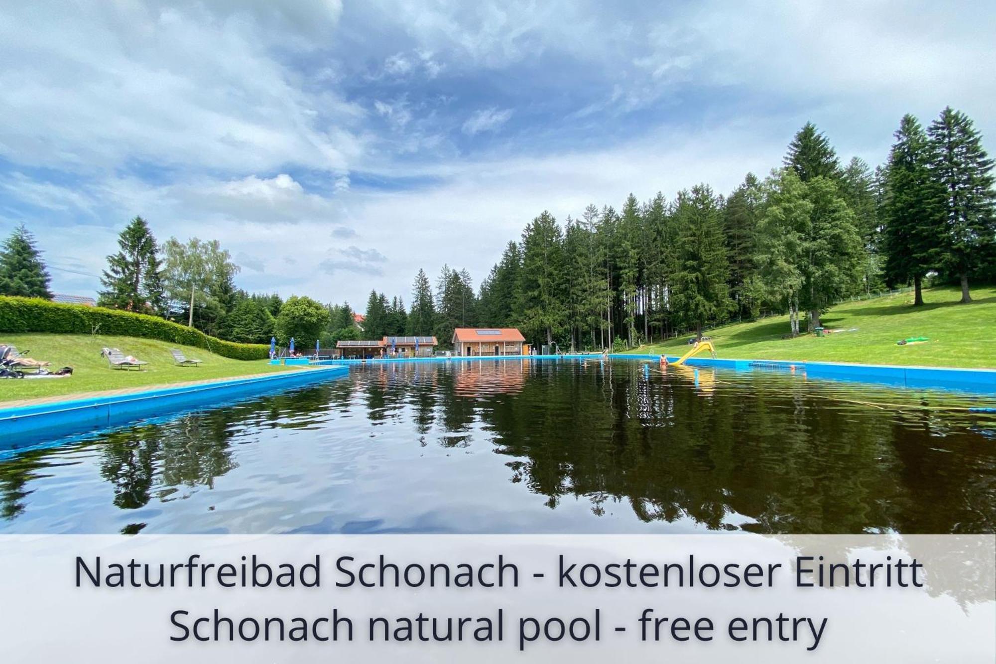 Auszeit Apartment Black Forest Schonach im Schwarzwald Dış mekan fotoğraf