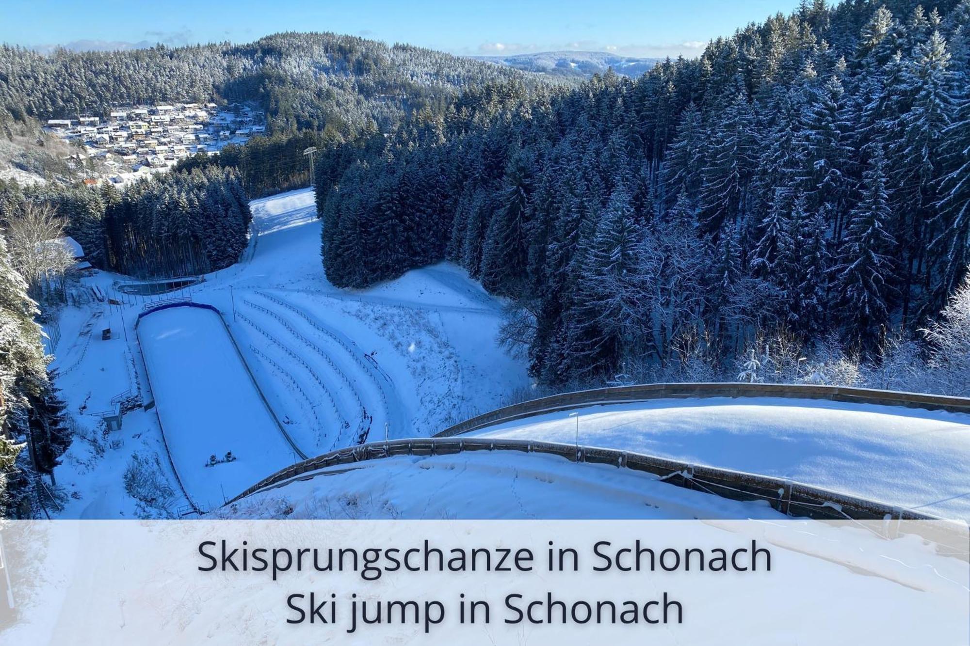 Auszeit Apartment Black Forest Schonach im Schwarzwald Dış mekan fotoğraf