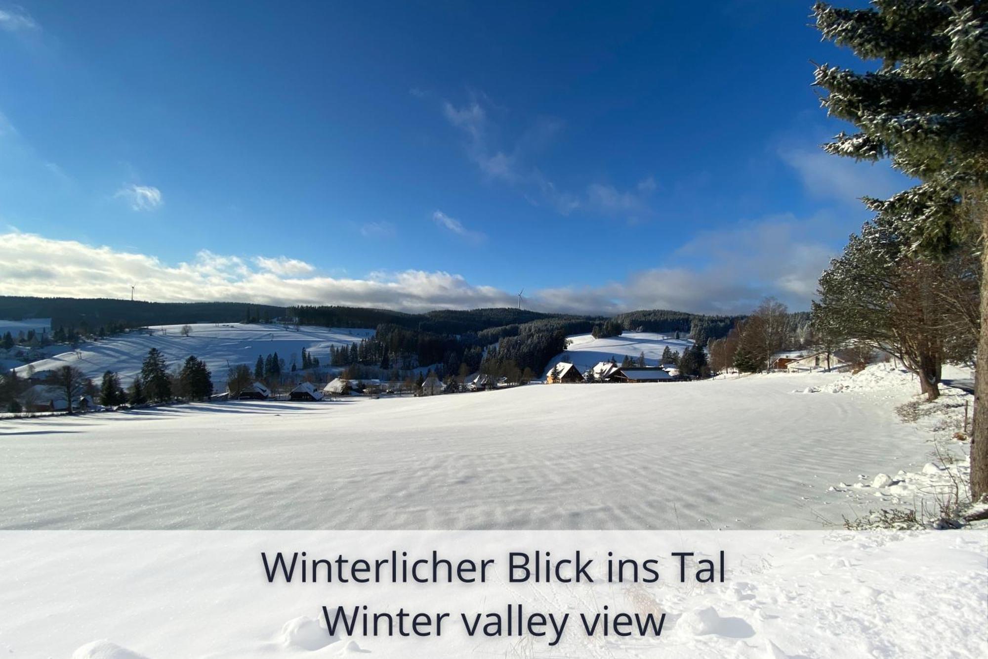 Auszeit Apartment Black Forest Schonach im Schwarzwald Dış mekan fotoğraf