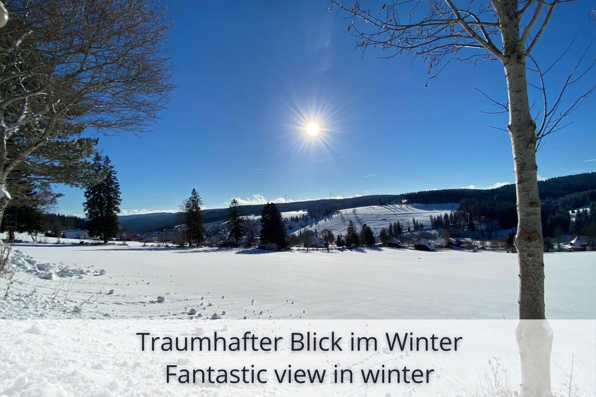 Auszeit Apartment Black Forest Schonach im Schwarzwald Dış mekan fotoğraf
