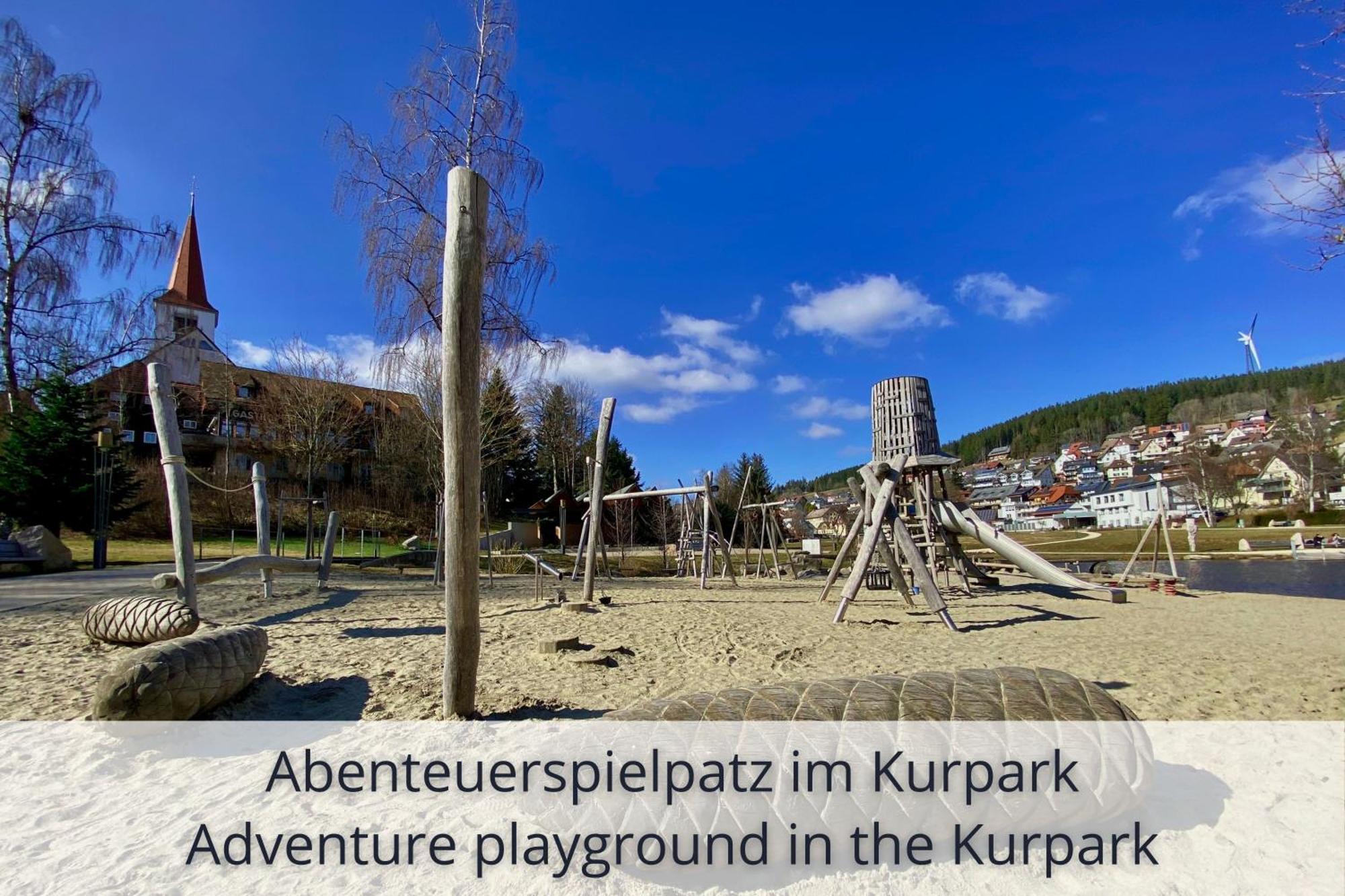 Auszeit Apartment Black Forest Schonach im Schwarzwald Dış mekan fotoğraf