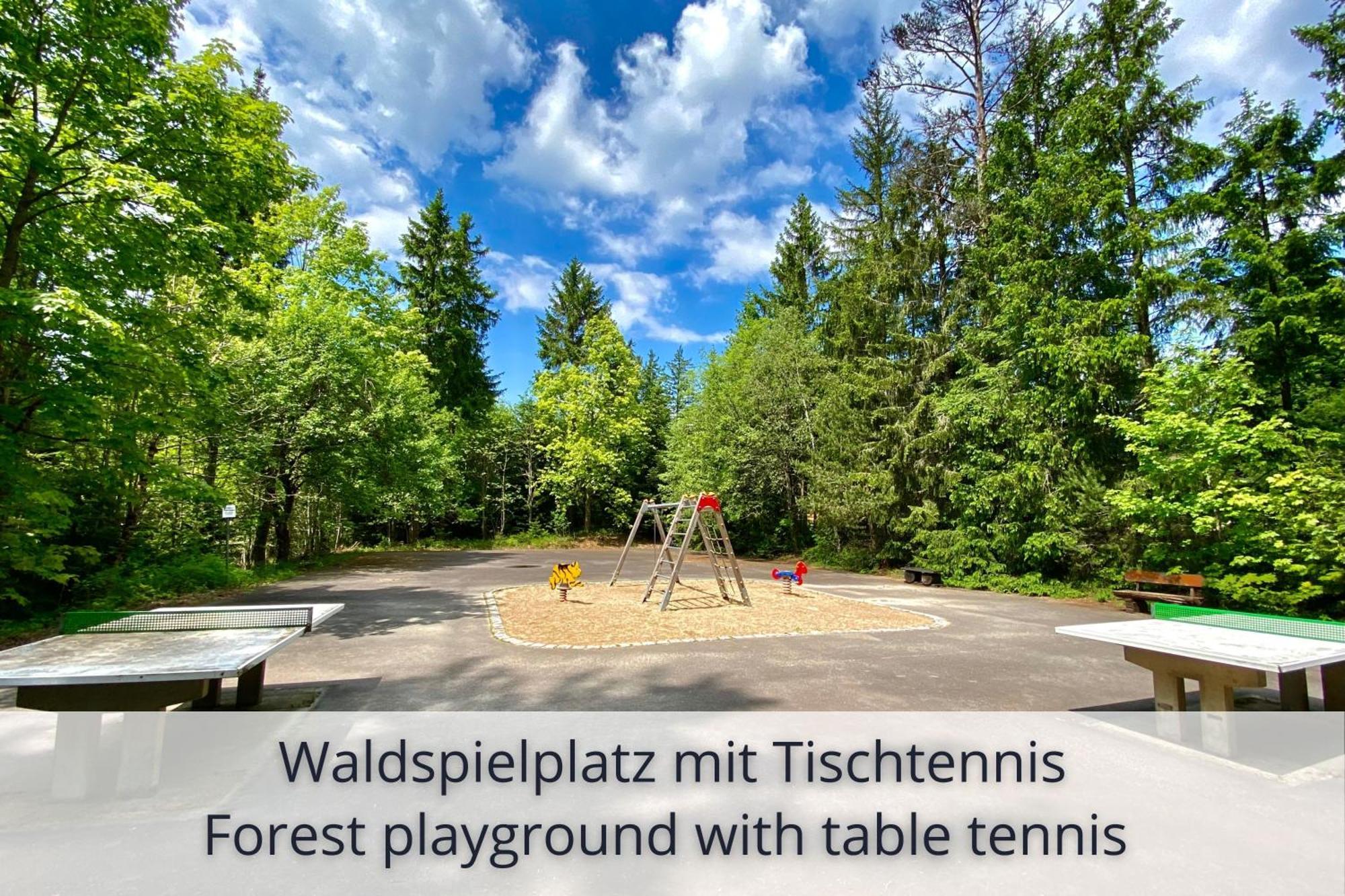 Auszeit Apartment Black Forest Schonach im Schwarzwald Dış mekan fotoğraf